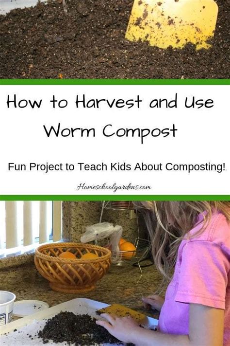 How To Harvest Worm Compost Worm Composting Compost Gardening For Kids