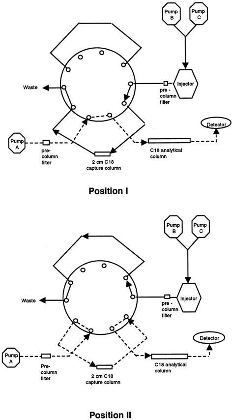 Diagram Of The Column Switching Hplc System Used For Rs