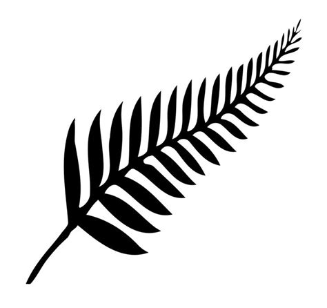 Silver Fern Of New Zealand Framed Art Print By HomeStead Digital Fern