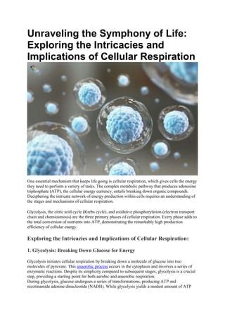 Deciphering Cellular Respiration Stages Mechanisms And Implications