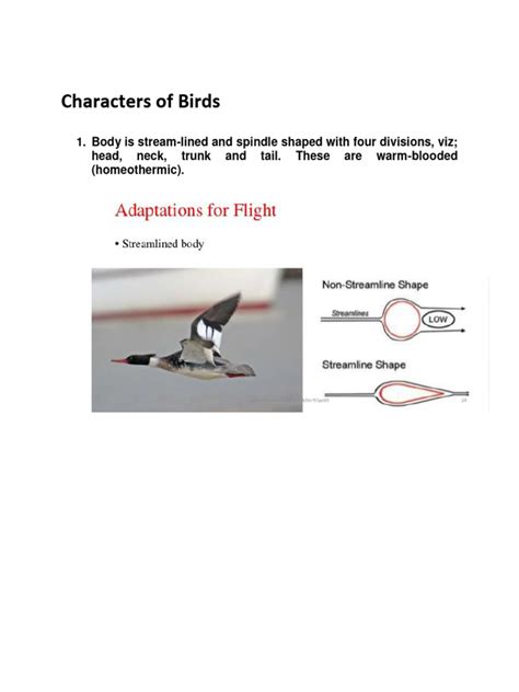 Characters of Birds | PDF | Mammals | Birds