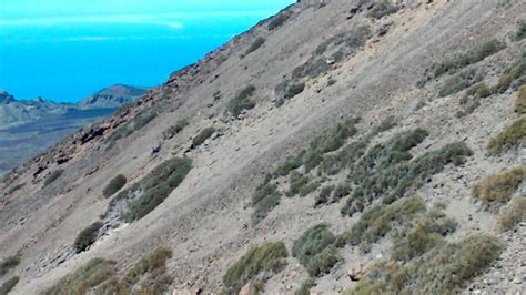 Going Up To Mount Teide YouTube