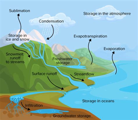 Water Cycle Infiltration