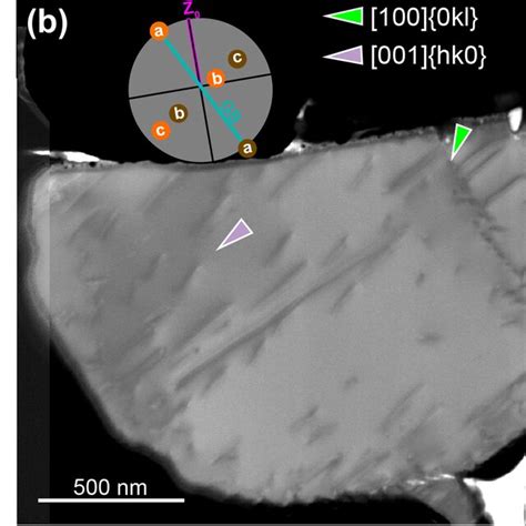 Stem Images Of A Fib Lamella Cut Parallel To The Indentation Direction