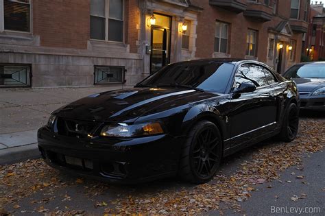 Black Ford Mustang Cobra Terminator - BenLevy.com