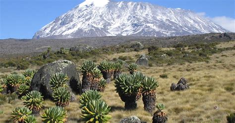 Kilimanjaro National Park - Attractions,