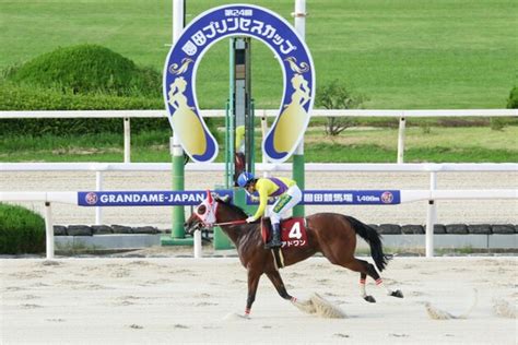 【園田競馬11r 園田プリンセスカップ 予想】大井所属フォルトリアンの自在性に注目！ スポーツナビ