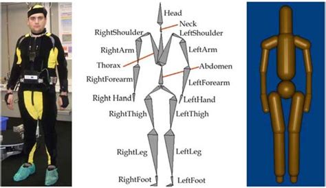 Model For The Human Operator A Human Operator With The Tracking Download Scientific Diagram