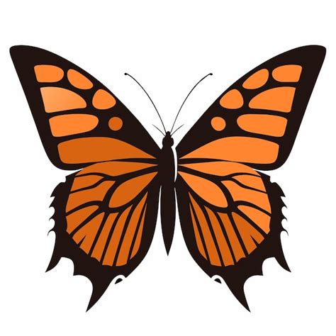 Premium Vector Monarch Butterfly Closeup In Artistic Detailing