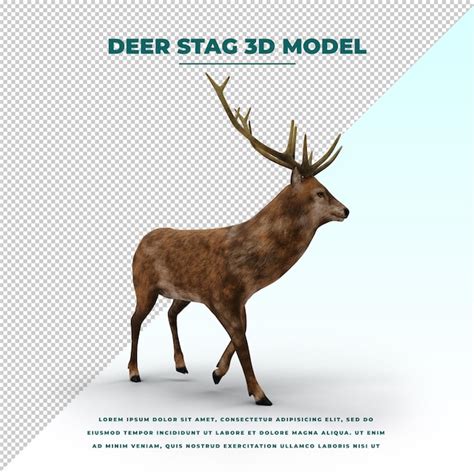 Premium Psd Deer Stag Isolated