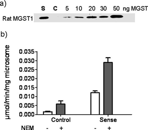 Figure From Characterization Of New Potential Anticancer Drugs