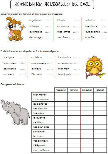 Le Genre Des Noms Exercices Pdf