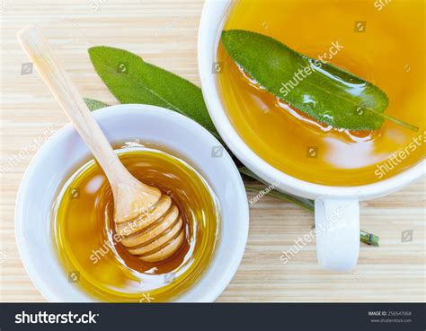 Cup Sage Tea Fresh Sage Honey Stock Photo 256547068 Shutterstock