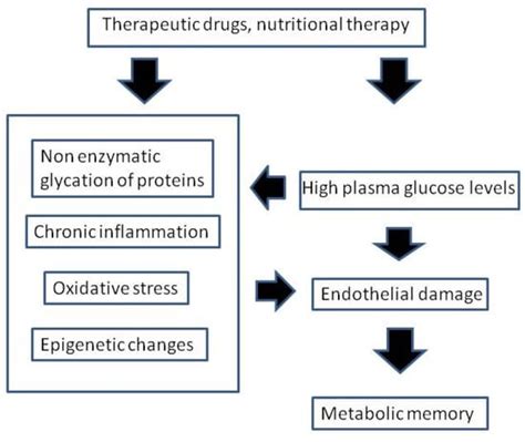 Nutrients Free Full Text The Metabolic Memory” Theory And The