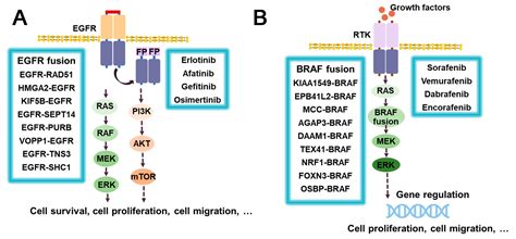 Molecules Free Full Text Small Molecule Inhibitors As Therapeutic