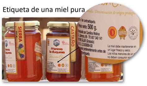 Cuál es la mejor miel la clara o oscura Como Cocinar y Comer