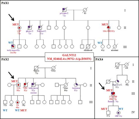 Role Of GALNT12 In The Genetic Predisposition To Attenuated Adenomatous