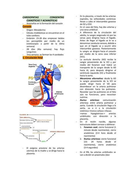 Cardiopatías Congénitas Cianóticas Y Acino Ticas Cristian Carlos