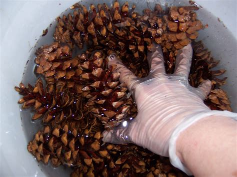 How To Make A Beautiful Pine Cone Wreath Without Gluing Or Wiring