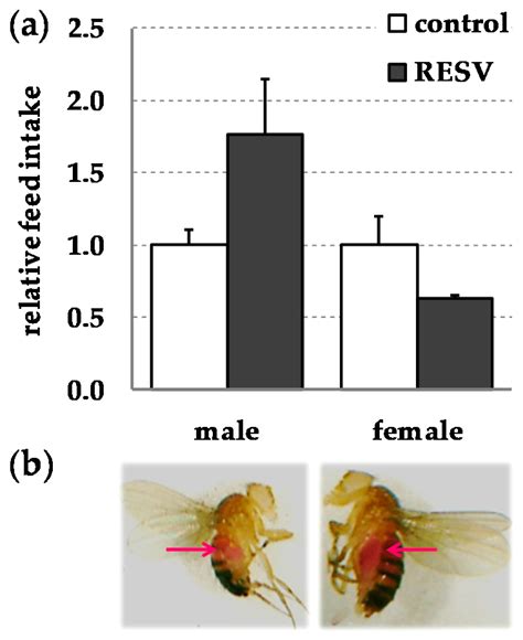 Ijms Free Full Text Dietary Resveratrol Does Not Affect Life Span