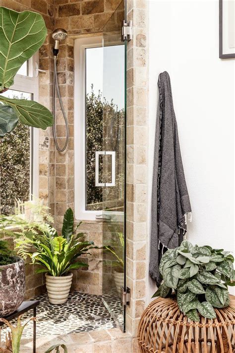 You Can Actually Keep These Plants Inside Your Shower Hunker