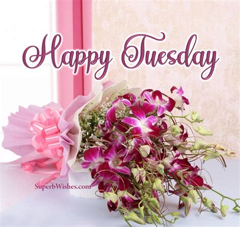 Happy Tuesday With A Purple Flower Bunch Image