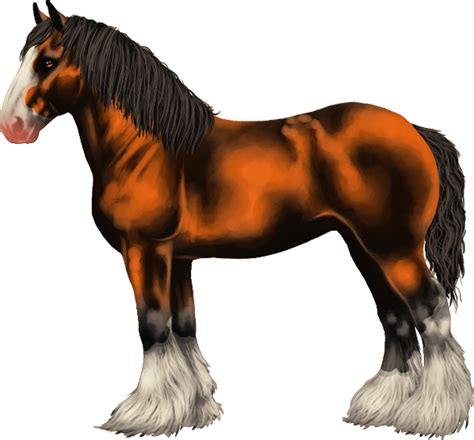 Clydesdale | Horse Fable Wiki