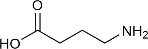 Frontiers Recent Advances Of Aminobutyric Acid Physiological And