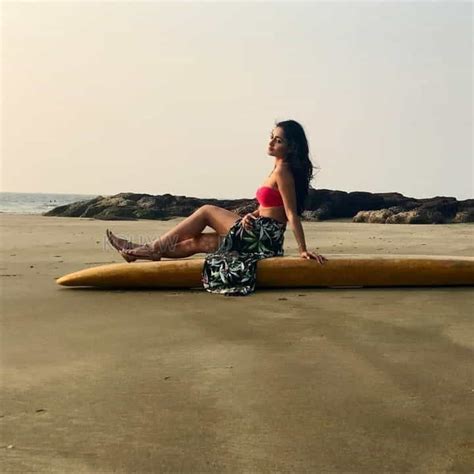 Tridha Choudhury Bikini Photos Kollywood Zone
