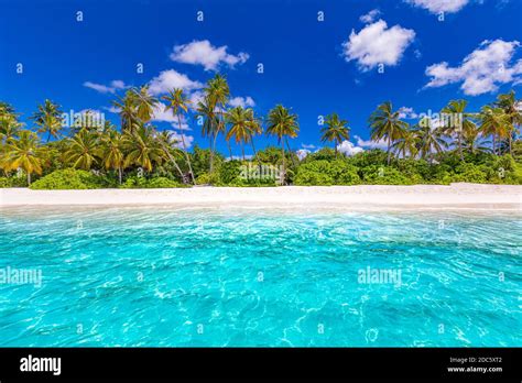 Tranquil beach scene. Sunny exotic tropical beach landscape for ...