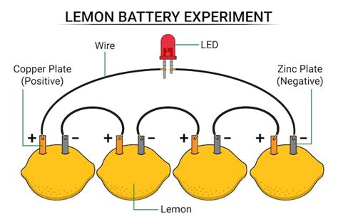 Premium Vector Lemon Battery And Led Electrochemical Battery