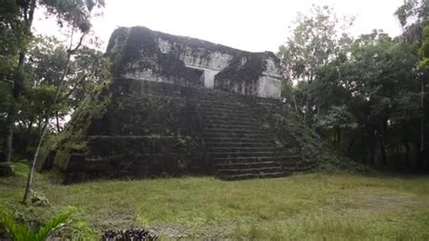 Pirámides Tikal Guatemala Parque Nacional Tikal Ruinas Mayas Templo