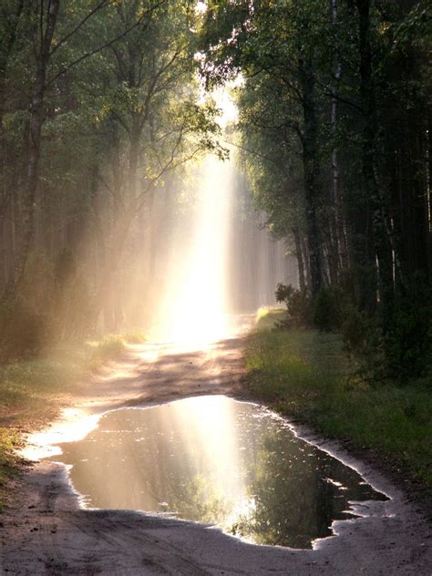 Shaft Of Light By Prettyconfused On Deviantart