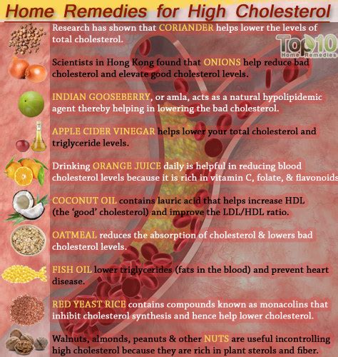 Diet To Help Control Cholesterol Cultureinter