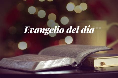 Evangelio del día Lectura del santo evangelio según san Marcos 2 23