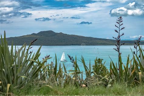 Rangitoto volcano stock photo. Image of tourism, volcano - 1989830