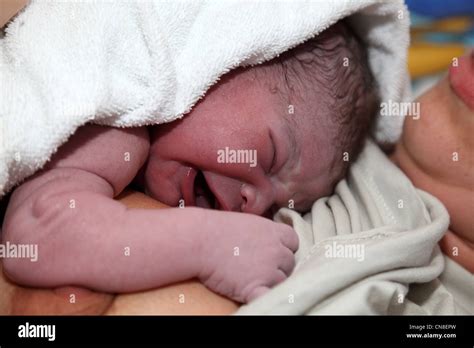 Baby Nach Geburt Fotos Und Bildmaterial In Hoher Aufl Sung Alamy