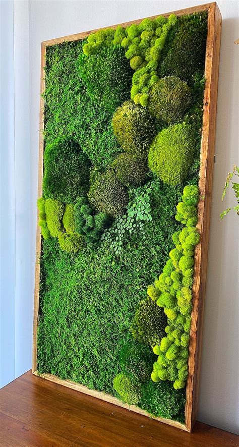 Moss Wall Art Preserved Moss Nature Art Moss Wall Etsy Moss Wall Art