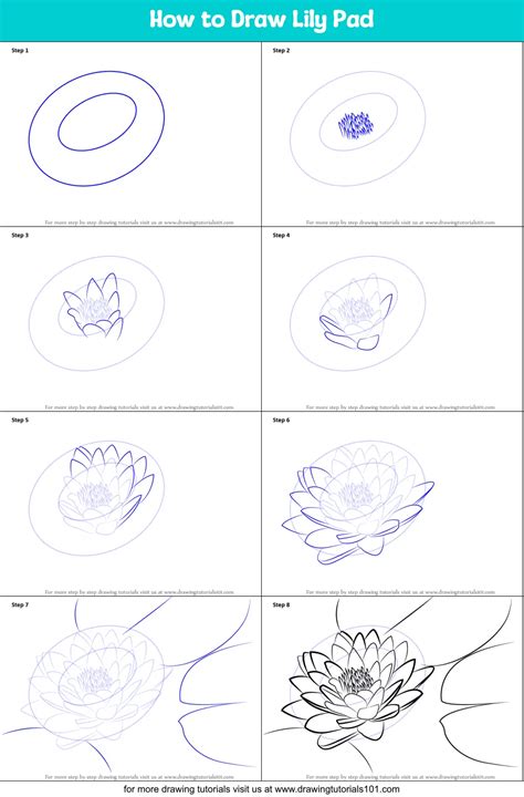 How To Draw A Lily Step By Step