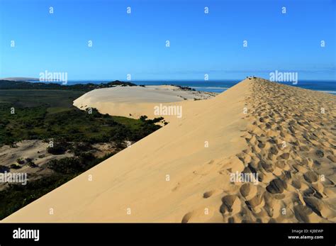 Sand dunes of Bazaruto Island, Mozambique Stock Photo - Alamy