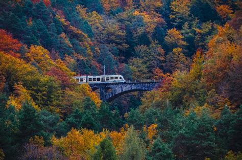 Treno Del Foliage Un Magico Viaggio Autunnale Viaggiare News