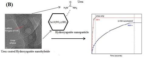 A Typical Nps Serve Plants As Macro Nano Fertilizers Download Scientific Diagram