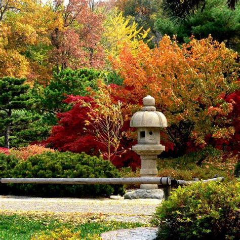 Fall Leaves Decorating Gardens And Backyards For Outdoor Events And