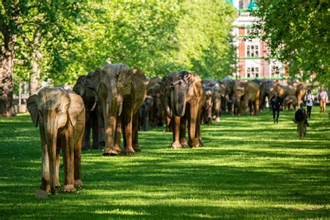 Newport Hosts The Great Elephant Migration July August Hey