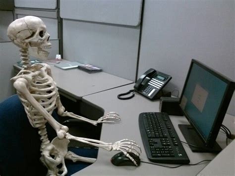 When Waiting For Your Favorite Show To Buffer Skeleton Funny Skeleton Memes