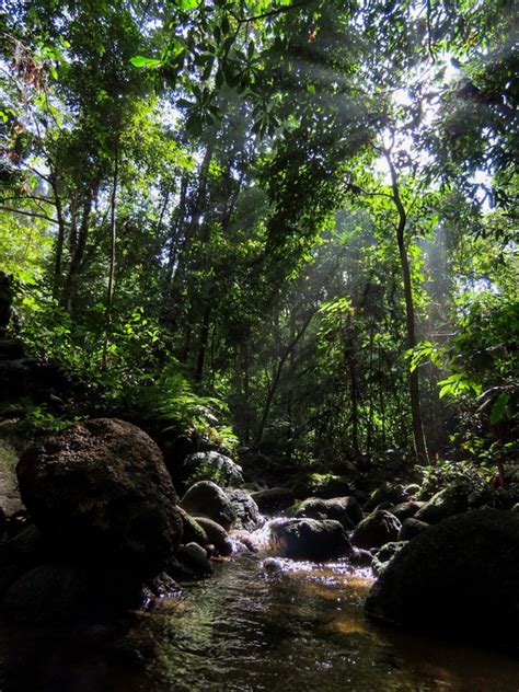 Khao Lak Lam Ru National Park A Natural Haven