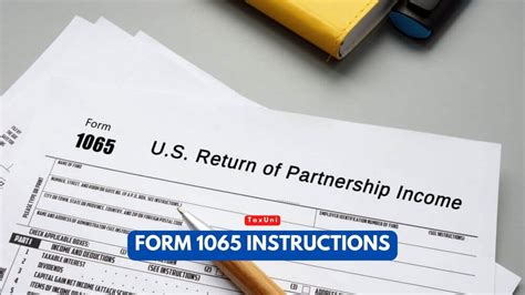 Form 1065 Instructions 2024 2025