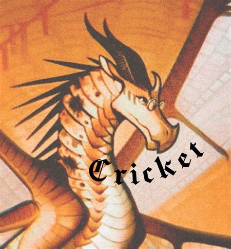 Wings Of Fire Cricket Icon