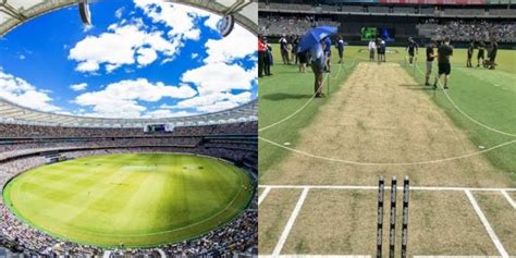 Perth Cricket Stadium Pitch Report For Bbl 2021 22 And T20 Records