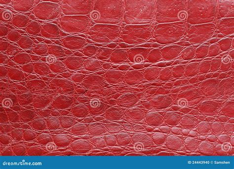 Red Leather Texture Stock Photo - Image: 24443940